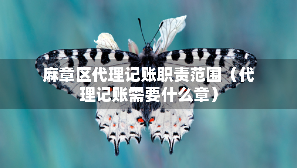 麻章區(qū)代理記賬職責(zé)范圍（代理記賬需要什么章）
