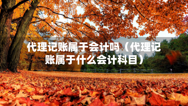 代理記賬屬于會計嗎（代理記賬屬于什么會計科目）