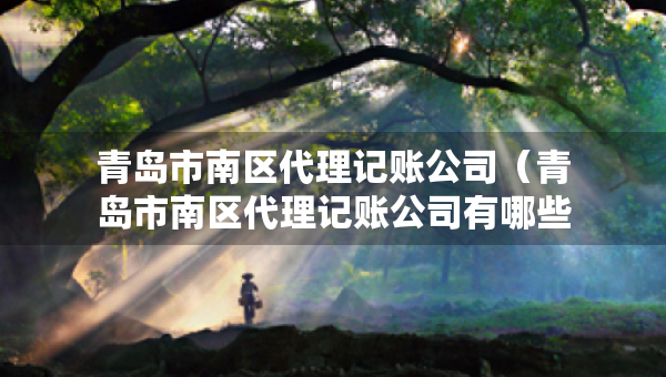 青島市南區(qū)代理記賬公司（青島市南區(qū)代理記賬公司有哪些）