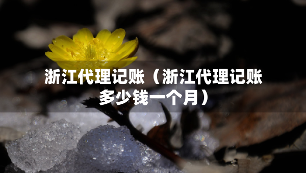 浙江代理記賬（浙江代理記賬多少錢(qián)一個(gè)月）