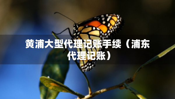 黃浦大型代理記賬手續(xù)（浦東 代理記賬）