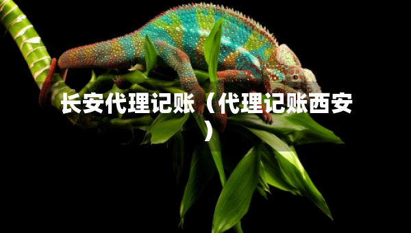 長安代理記賬（代理記賬西安）