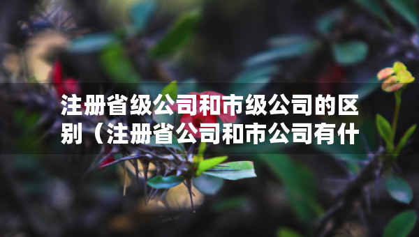 注冊省級公司和市級公司的區(qū)別（注冊省公司和市公司有什么區(qū)別）