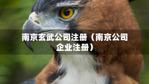 南京玄武公司注冊(cè)（南京公司企業(yè)注冊(cè)）