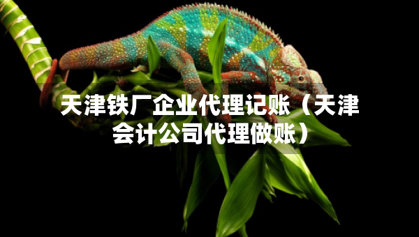 天津鐵廠企業(yè)代理記賬（天津會(huì)計(jì)公司代理做賬）