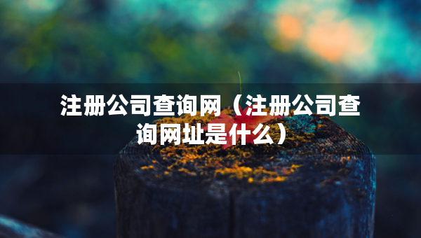 注冊公司查詢網(wǎng)（注冊公司查詢網(wǎng)址是什么）