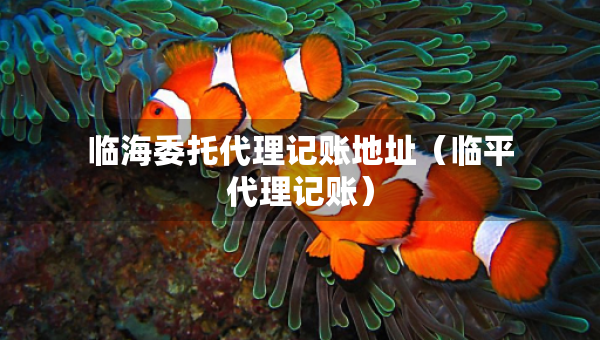 臨海委托代理記賬地址（臨平代理記賬）