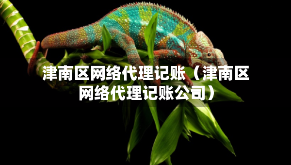 津南區(qū)網(wǎng)絡(luò)代理記賬（津南區(qū)網(wǎng)絡(luò)代理記賬公司）