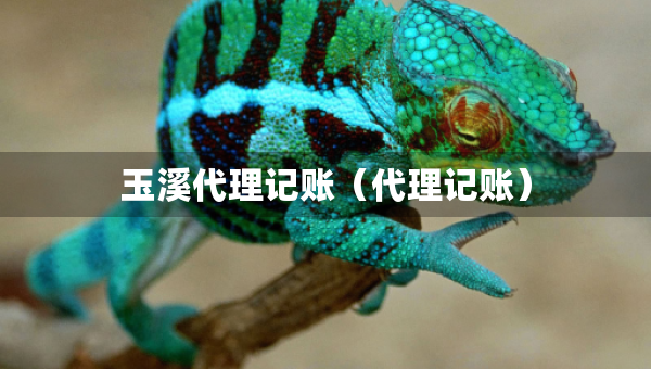 玉溪代理記賬（代理記賬）