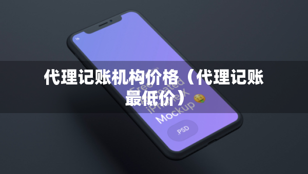 代理記賬機構(gòu)價格（代理記賬最低價）