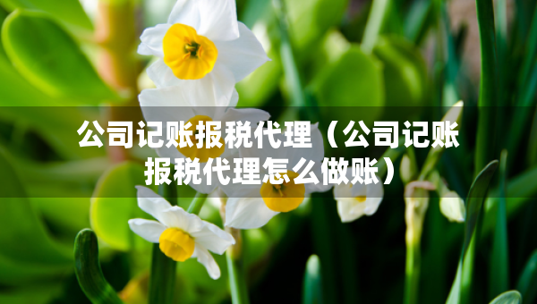 公司記賬報稅代理（公司記賬報稅代理怎么做賬）
