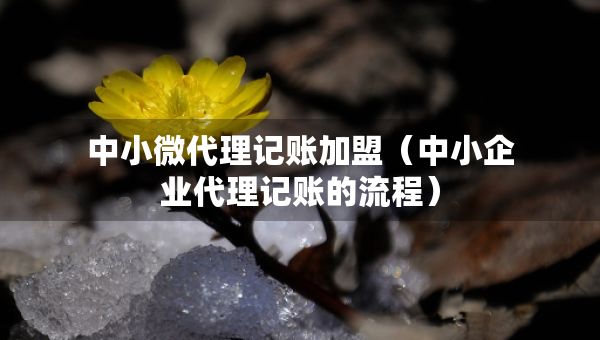 中小微代理記賬加盟（中小企業(yè)代理記賬的流程）