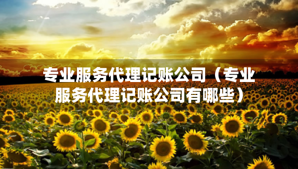 專業(yè)服務(wù)代理記賬公司（專業(yè)服務(wù)代理記賬公司有哪些）