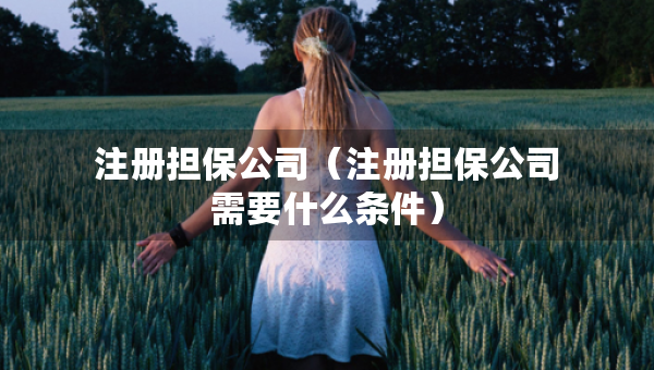 注冊(cè)擔(dān)保公司（注冊(cè)擔(dān)保公司需要什么條件）