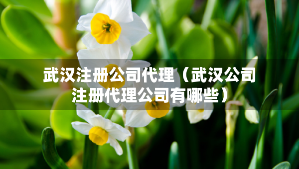 武漢注冊(cè)公司代理（武漢公司注冊(cè)代理公司有哪些）