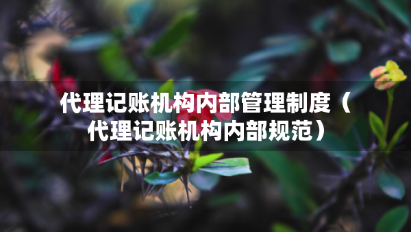 代理記賬機(jī)構(gòu)內(nèi)部管理制度（代理記賬機(jī)構(gòu)內(nèi)部規(guī)范）