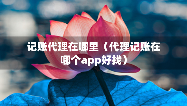 記賬代理在哪里（代理記賬在哪個app好找）
