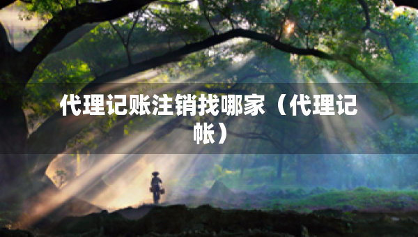 代理記賬注銷找哪家（代理記帳）