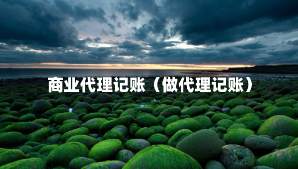 商業(yè)代理記賬（做代理記賬）