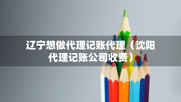 遼寧想做代理記賬代理（沈陽代理記賬公司收費）