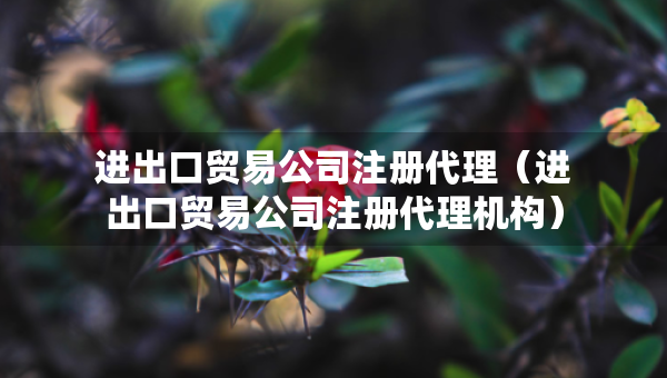 進出口貿(mào)易公司注冊代理（進出口貿(mào)易公司注冊代理機構(gòu)）