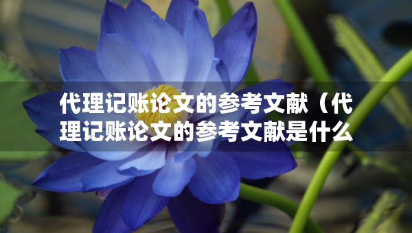 代理記賬論文的參考文獻（代理記賬論文的參考文獻是什么）