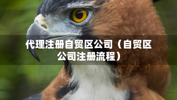 代理注冊自貿區(qū)公司（自貿區(qū)公司注冊流程）