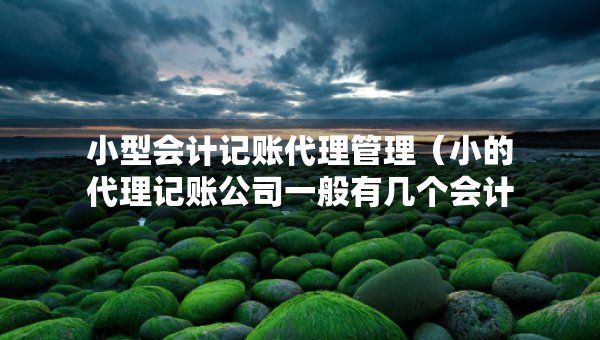 小型會計記賬代理管理（小的代理記賬公司一般有幾個會計）