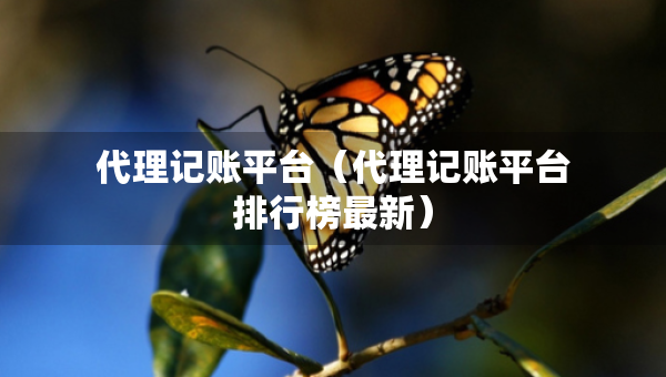 代理記賬平臺（代理記賬平臺排行榜最新）