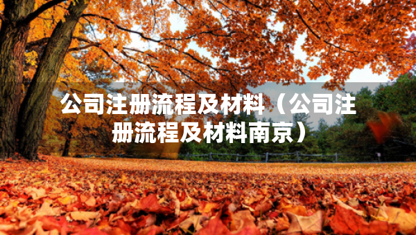 公司注冊流程及材料（公司注冊流程及材料南京）