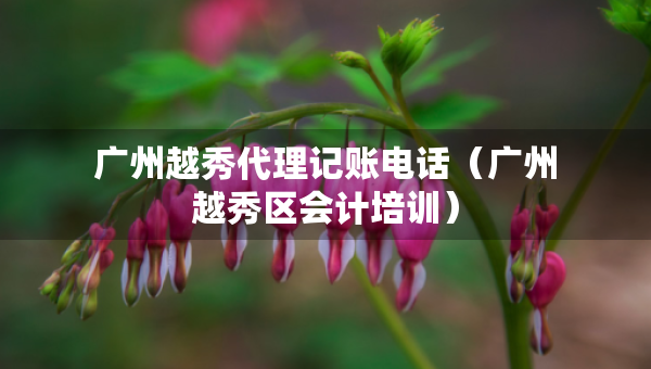 廣州越秀代理記賬電話（廣州越秀區(qū)會計培訓）