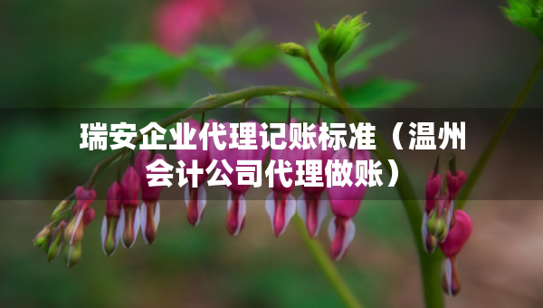 瑞安企業(yè)代理記賬標(biāo)準(zhǔn)（溫州會(huì)計(jì)公司代理做賬）