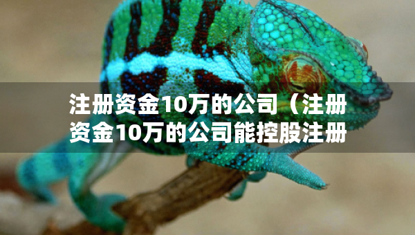 注冊資金10萬的公司（注冊資金10萬的公司能控股注冊資金100萬的公司）