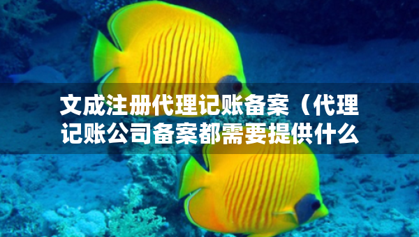 文成注冊(cè)代理記賬備案（代理記賬公司備案都需要提供什么材料）
