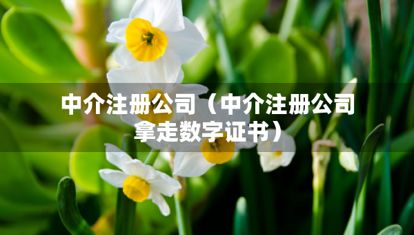 中介注冊公司（中介注冊公司拿走數(shù)字證書）