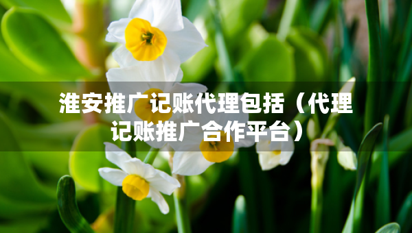 淮安推廣記賬代理包括（代理記賬推廣合作平臺）