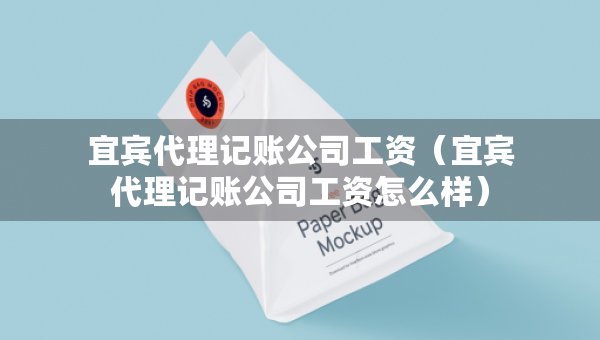 宜賓代理記賬公司工資（宜賓代理記賬公司工資怎么樣）
