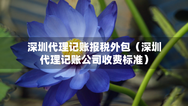深圳代理記賬報(bào)稅外包（深圳代理記賬公司收費(fèi)標(biāo)準(zhǔn)）