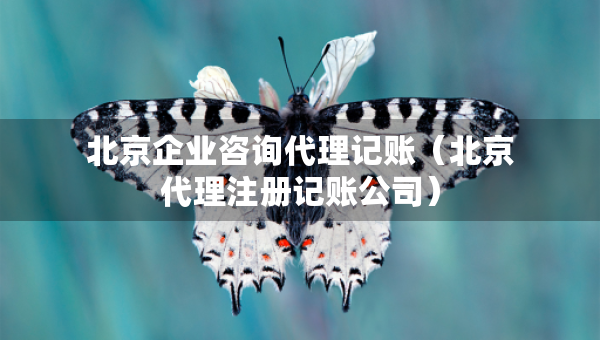 北京企業(yè)咨詢(xún)代理記賬（北京代理注冊(cè)記賬公司）