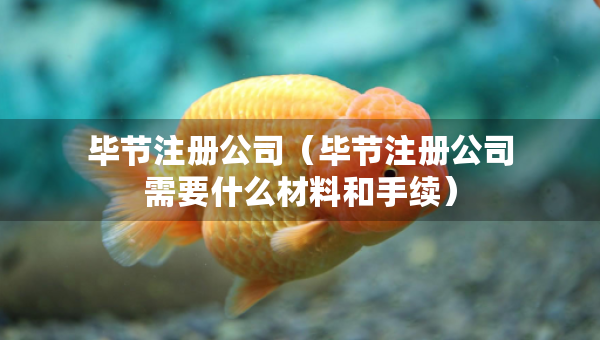 畢節(jié)注冊公司（畢節(jié)注冊公司需要什么材料和手續(xù)）