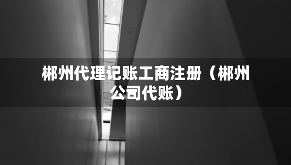 郴州代理記賬工商注冊（郴州公司代賬）