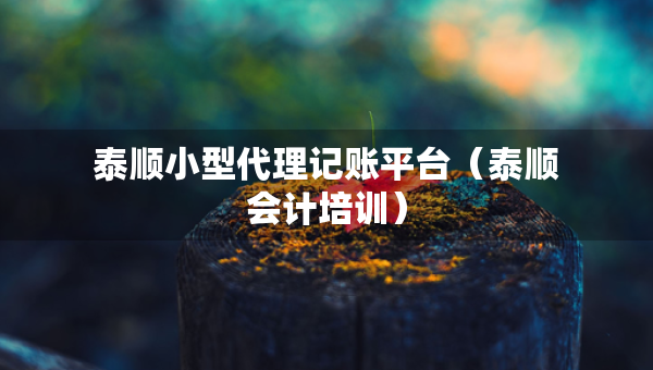 泰順小型代理記賬平臺（泰順會計培訓）