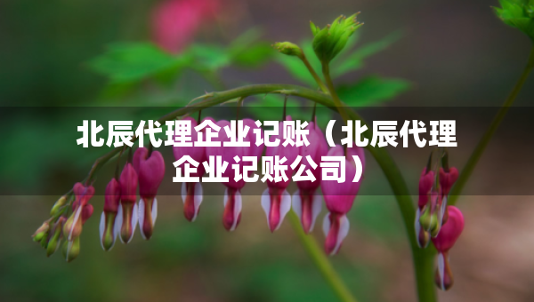 北辰代理企業(yè)記賬（北辰代理企業(yè)記賬公司）