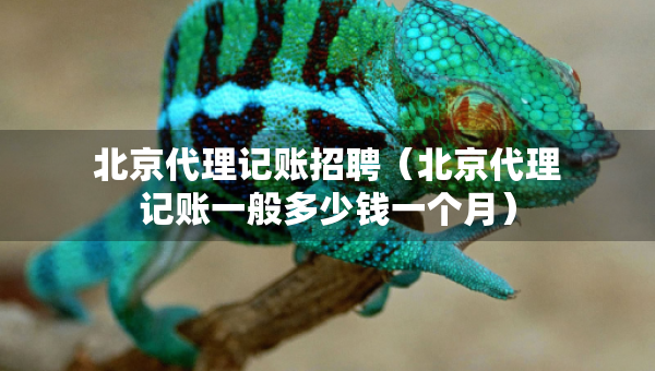 北京代理記賬招聘（北京代理記賬一般多少錢一個月）