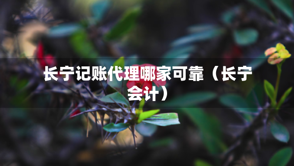 長寧記賬代理哪家可靠（長寧會計）