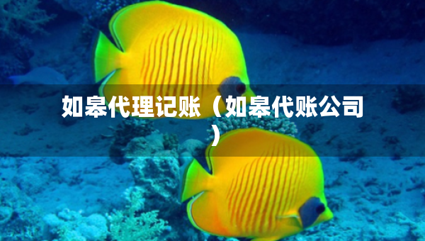 如皋代理記賬（如皋代賬公司）