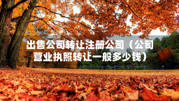出售公司轉(zhuǎn)讓注冊公司（公司營業(yè)執(zhí)照轉(zhuǎn)讓一般多少錢）