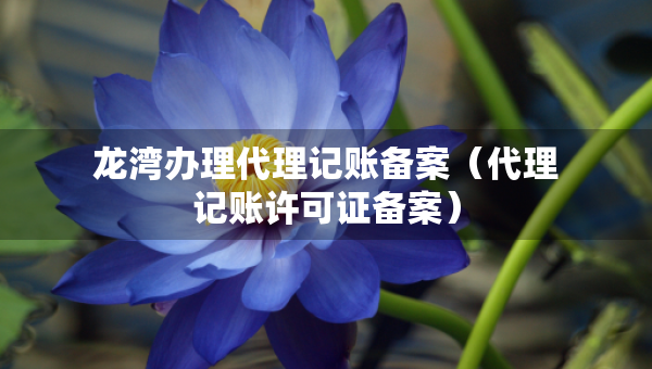 龍灣辦理代理記賬備案（代理記賬許可證備案）