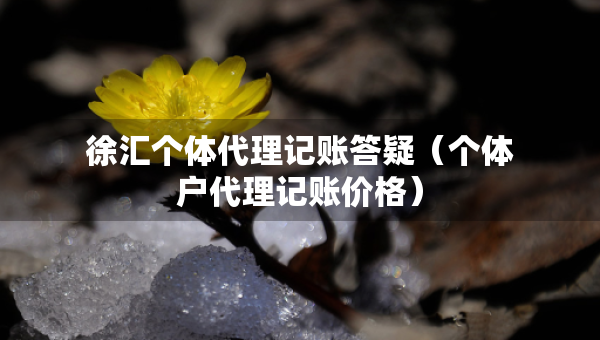 徐匯個體代理記賬答疑（個體戶代理記賬價格）