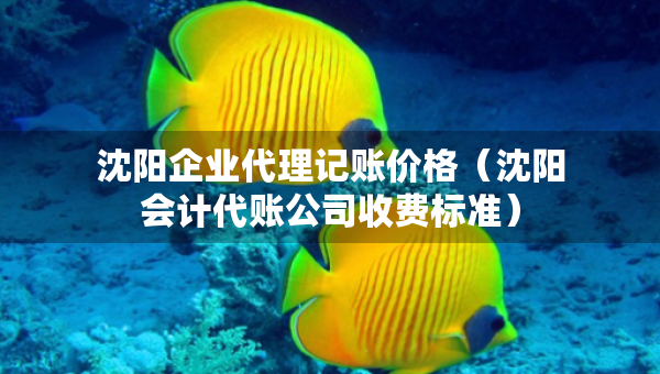 沈陽企業(yè)代理記賬價格（沈陽會計代賬公司收費標準）
